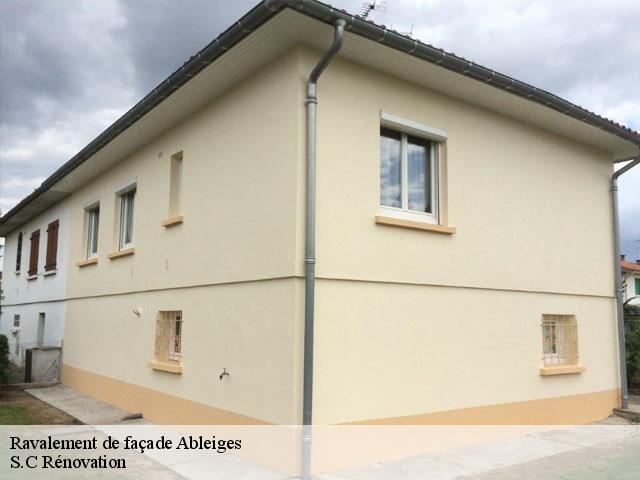 Ravalement de façade  ableiges-95450 Saive Rénovation