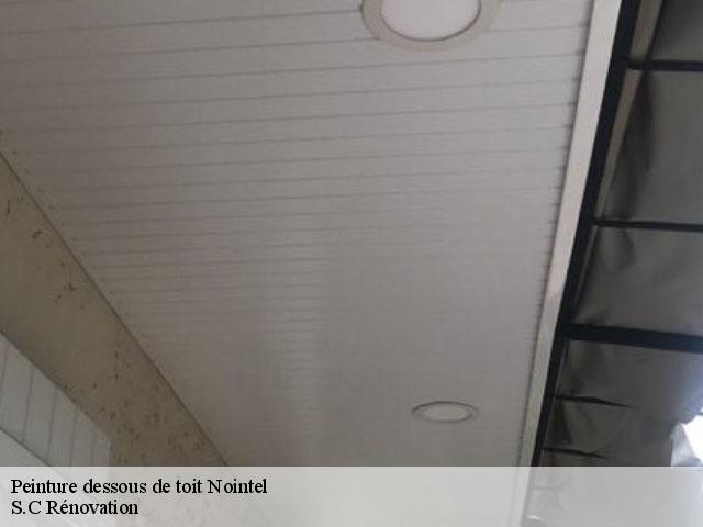 Peinture dessous de toit  95590