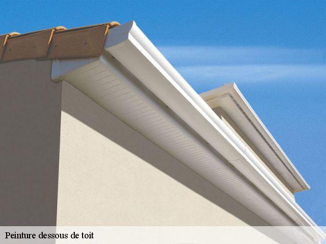 Peinture dessous de toit  95320